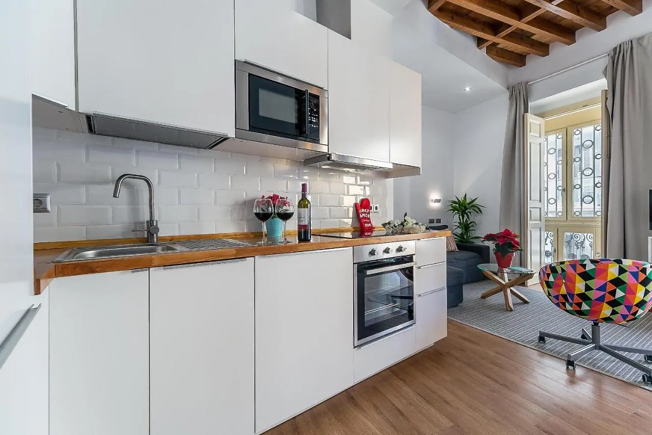 Premium Malaga Center Apartment