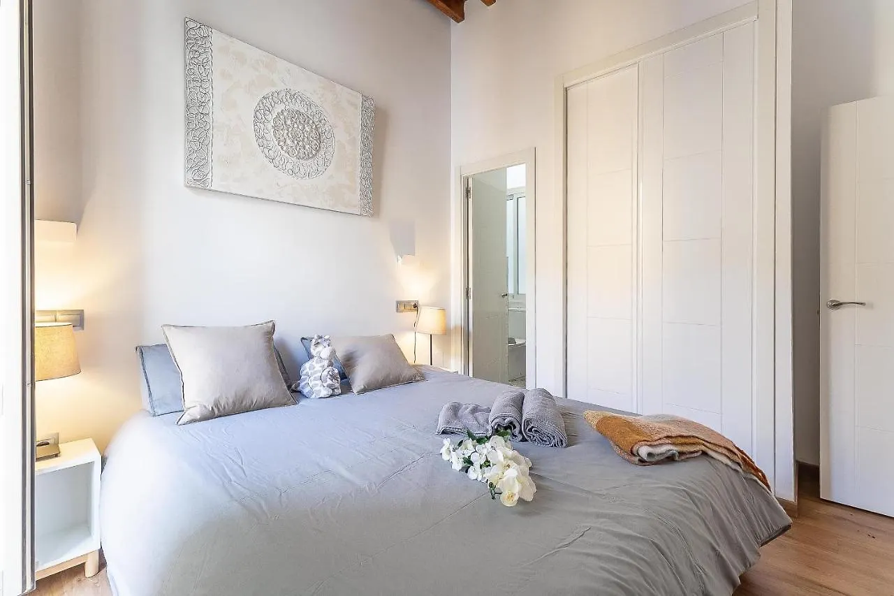 Premium Malaga Center Apartment 0*,